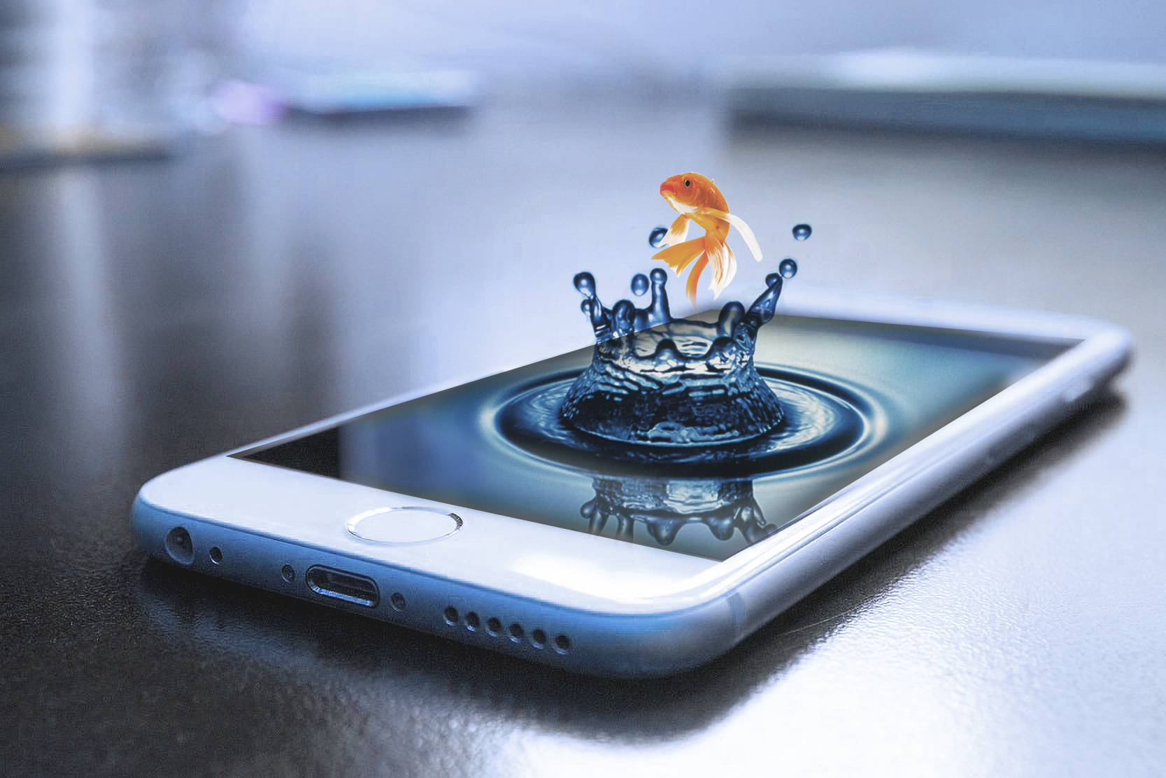 Gold Fish Splashing From the Cell Phone